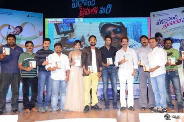 Paddanandi Premalo Mari Movie Audio Launch